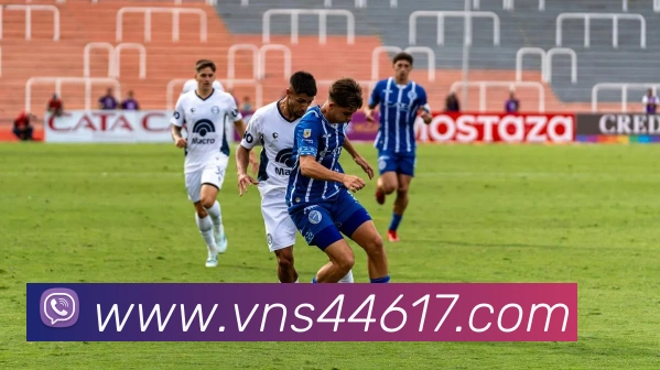 奖项证书